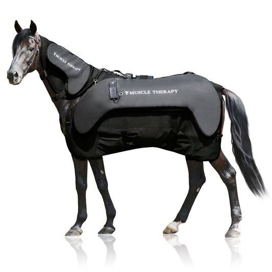 Muskelterapi for heste - demo