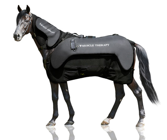 Muskelterapi for heste