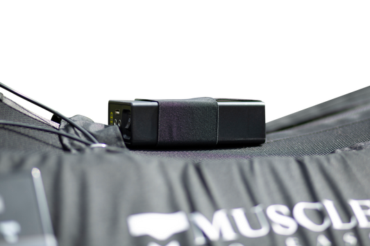 Muskelterapi for heste